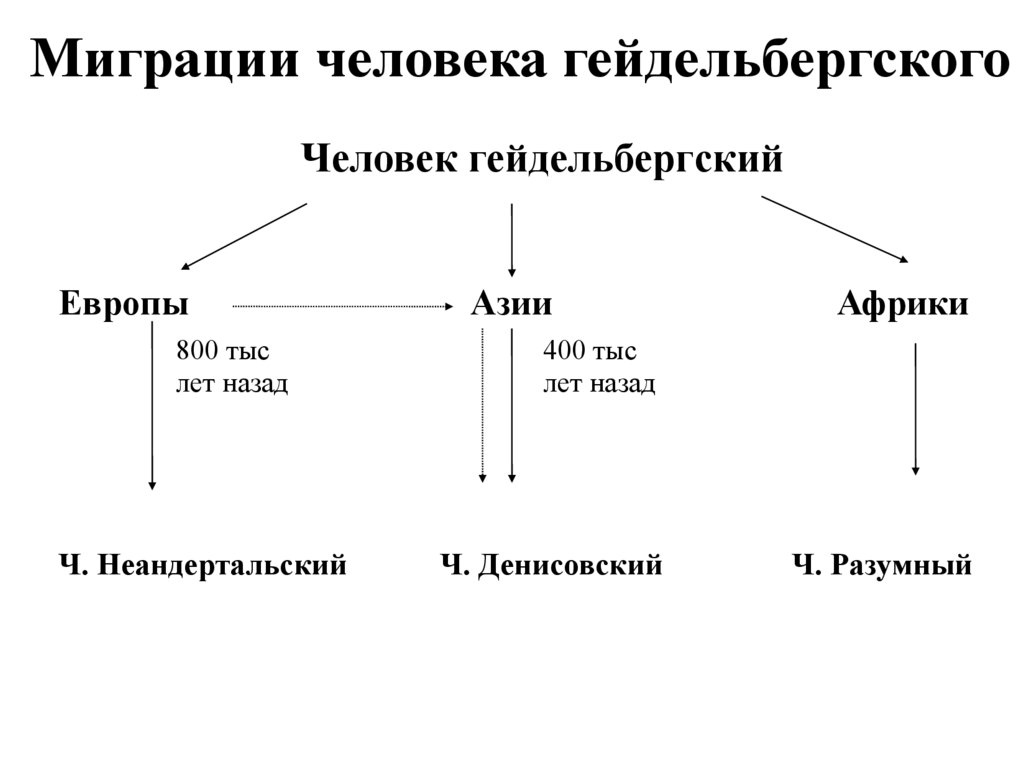 Место человека в зоологической системе презентация