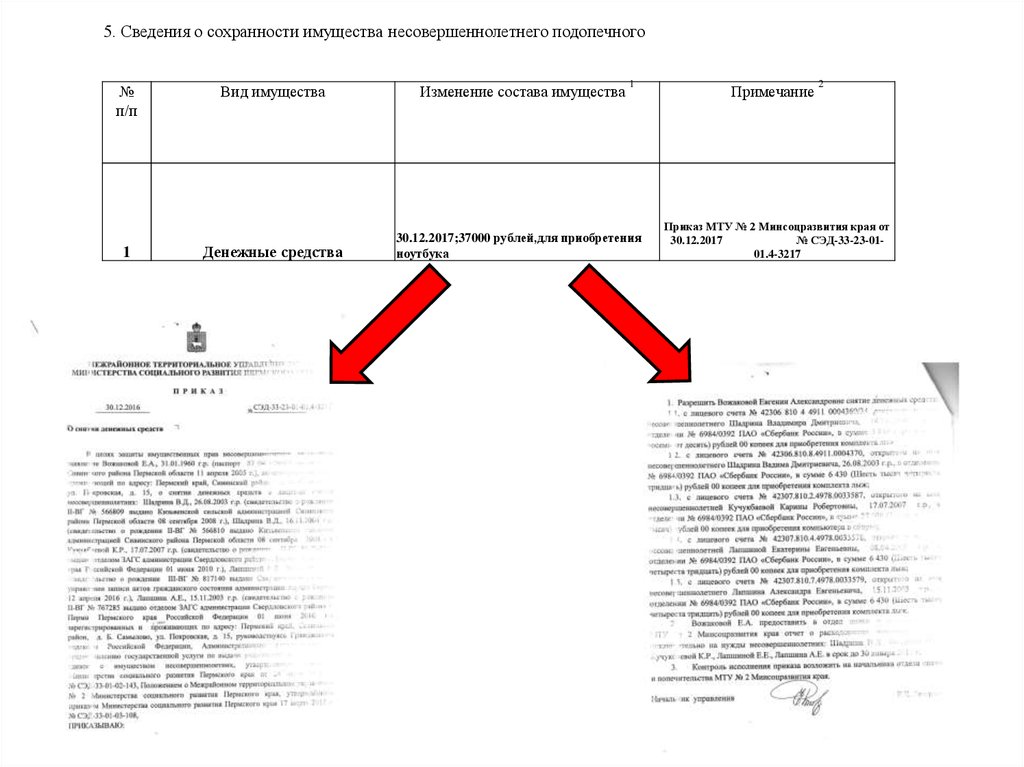 Опекунский отчет образец заполнения