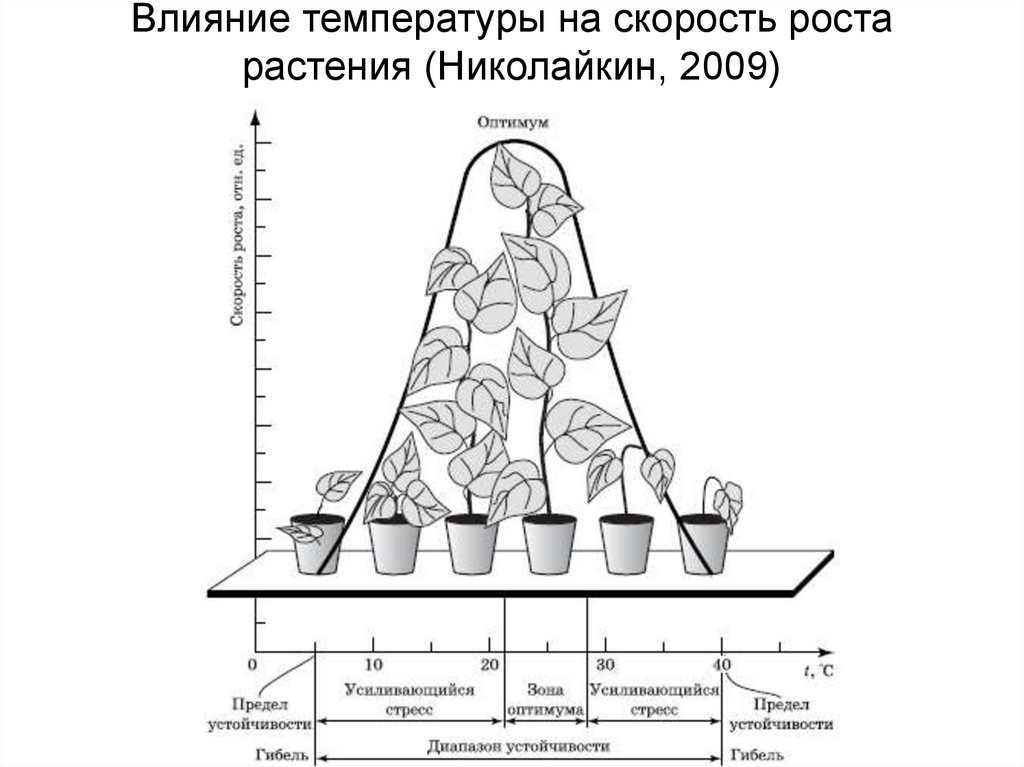 Ветров питание. Закон оптимума растения. Влияние температуры на растения. Влияние температуры на рост растений. Схема действия температуры на рост растений.