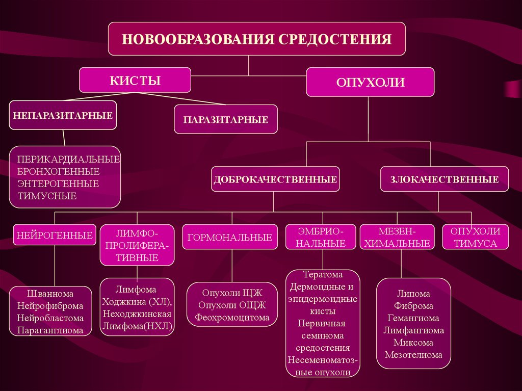 Образования средостения схема