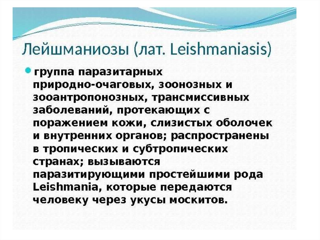 Лейшманиоз природно очаговое. Заболевания вызываемые лейшманиями. Лейшмании название заболеваний. Лeйшманиoзoм.