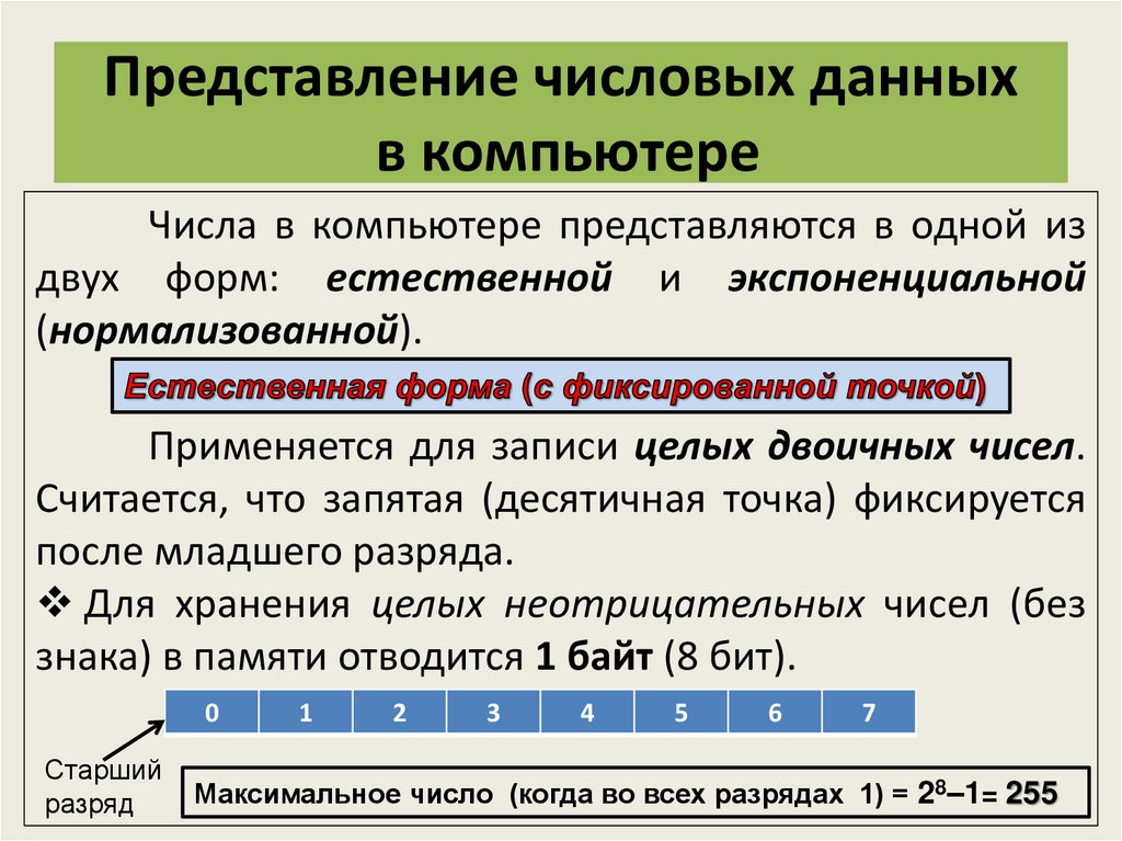 Представление числовой информации