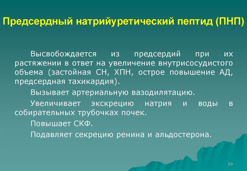 Пептид 32 мозга. Предсердный натрийуретический пептид. Предсердный натрийуретический пептид функции. Натрийуретический пептид презентация. Натрийуретический гормон презентация.