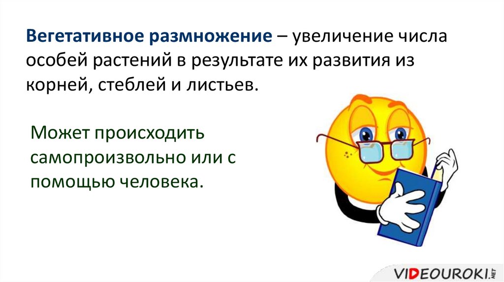 Размножение увеличение. Размножение это увеличение числа.