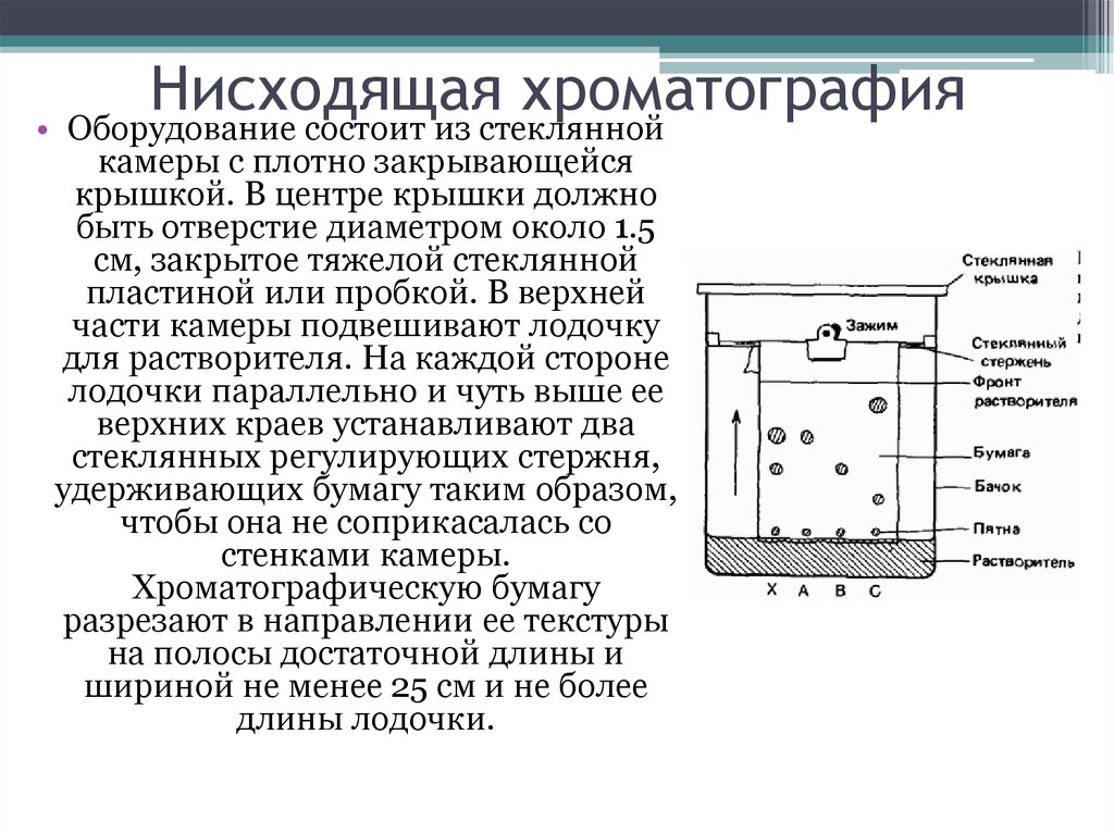 Бумажная хроматография презентация