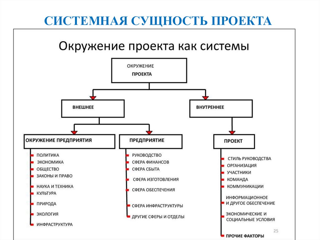 Сущность проекта пример