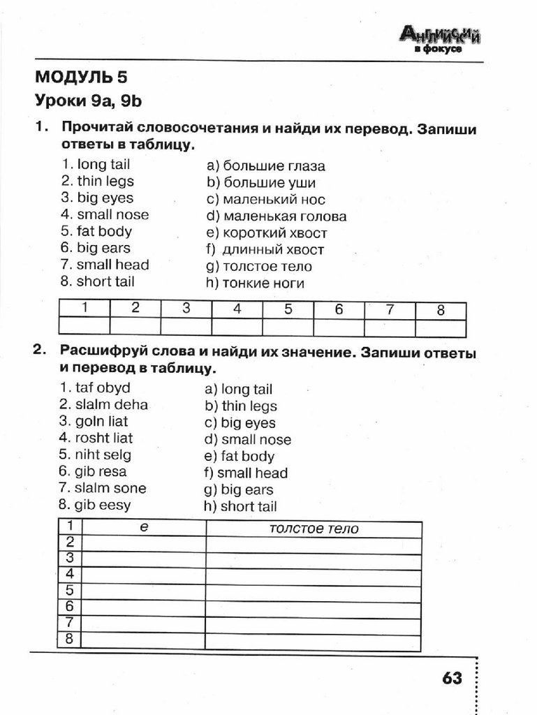 Сборник упражнений модуль. Английский в фокусе 3 класс сборник упражнений.