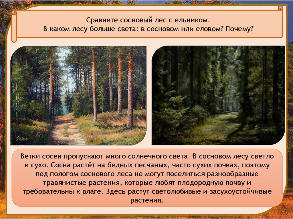 Текст громадный лес