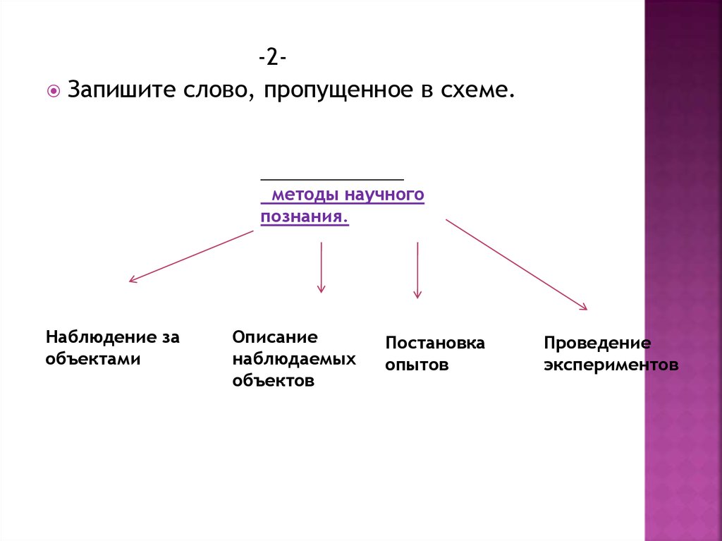 Запишите слово пропущенное в схеме научное познание предложения догадки