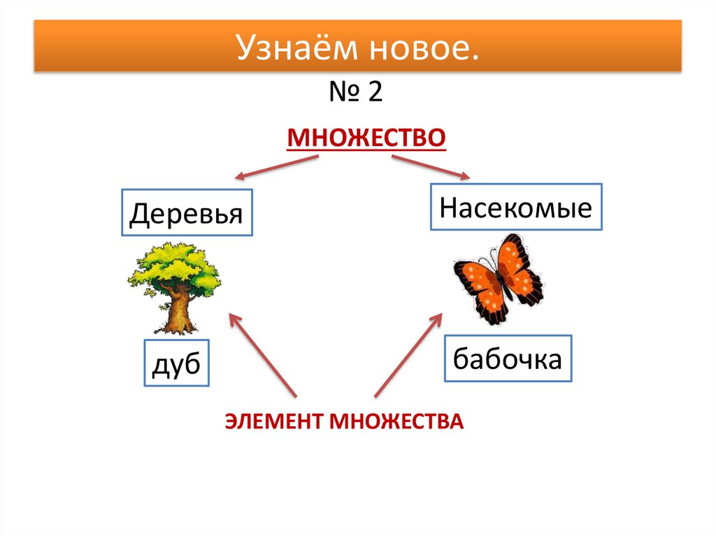 Множества 2 класс презентация