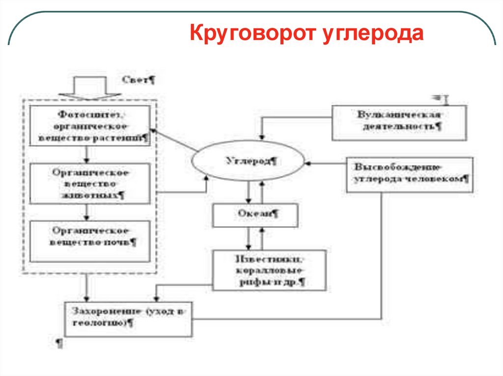 Круговорот углерода схема простая