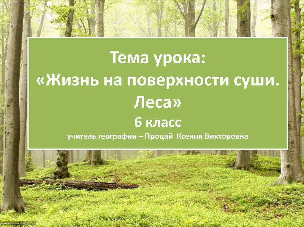 Лес 6 класс. Жизнь на поверхности суши леса 6 класс география. Жизнь на поверхности суши. Леса 6 класс география. Тема урока жизнь леса.