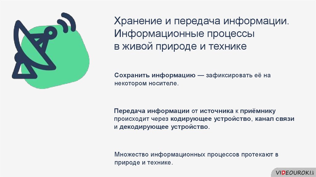 Передача информации в природе. Информационные процессы в природе обществе и технике. Информационный процесс в живой. Хранение и передача информации в живой природе и технике. Передача передача информации в живой природе.