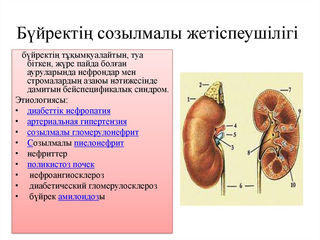 Созылмалы холецистит презентация