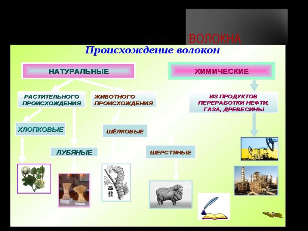 Химические волокна. Волокна природные и химические. Виды натуральных волокон. Схема натуральных волокон животного происхождения. Натуральные и химические волокна примеры.