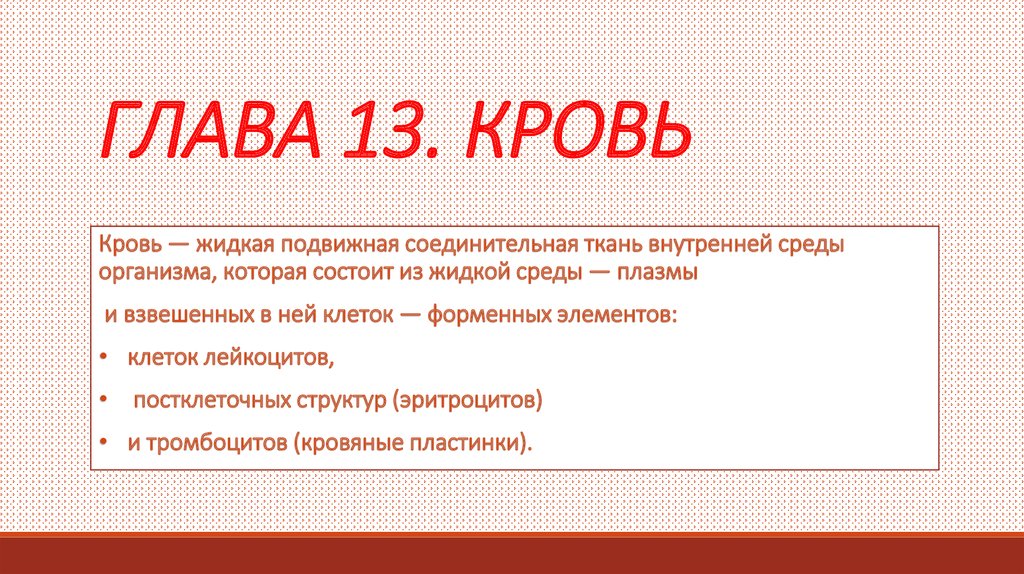 Презентация 13