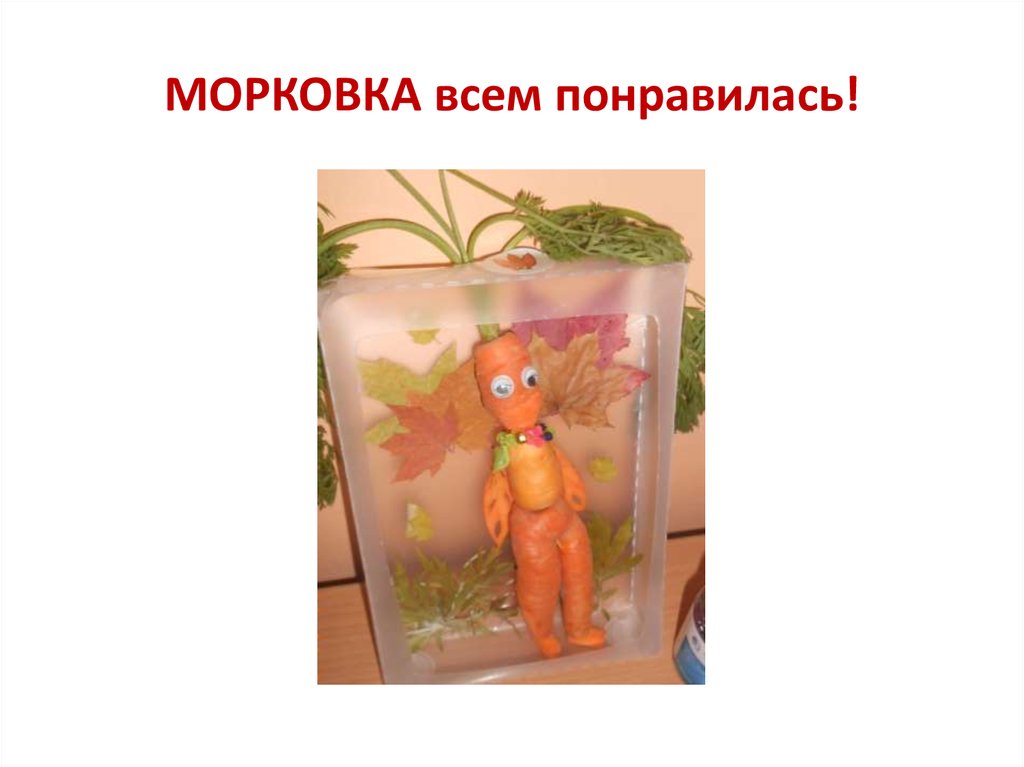 МОРКОВКА всем понравилась!