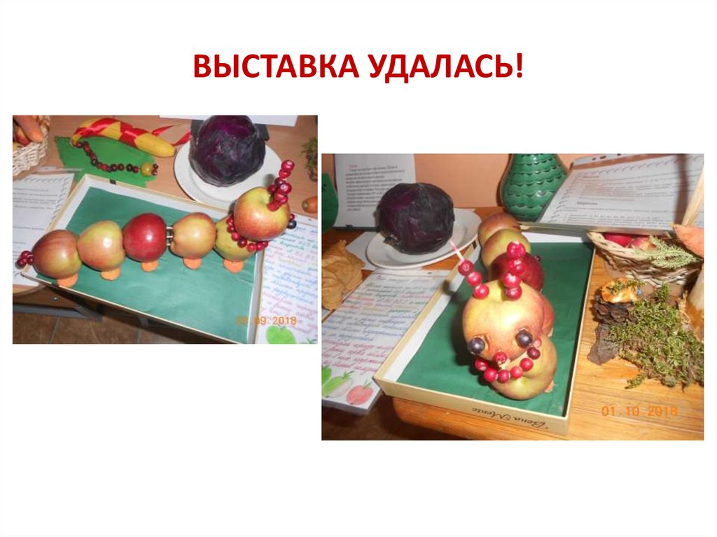 ВЫСТАВКА УДАЛАСЬ!