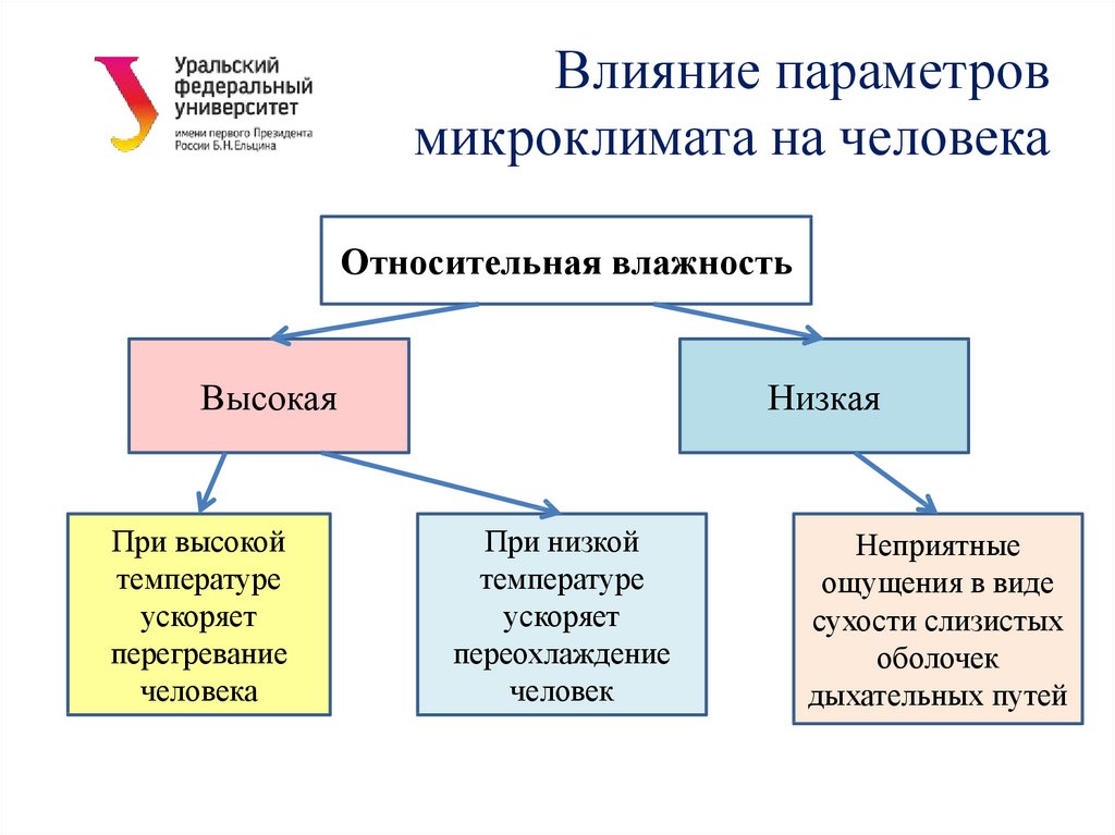 Влияние микроклимата на работоспособность человека