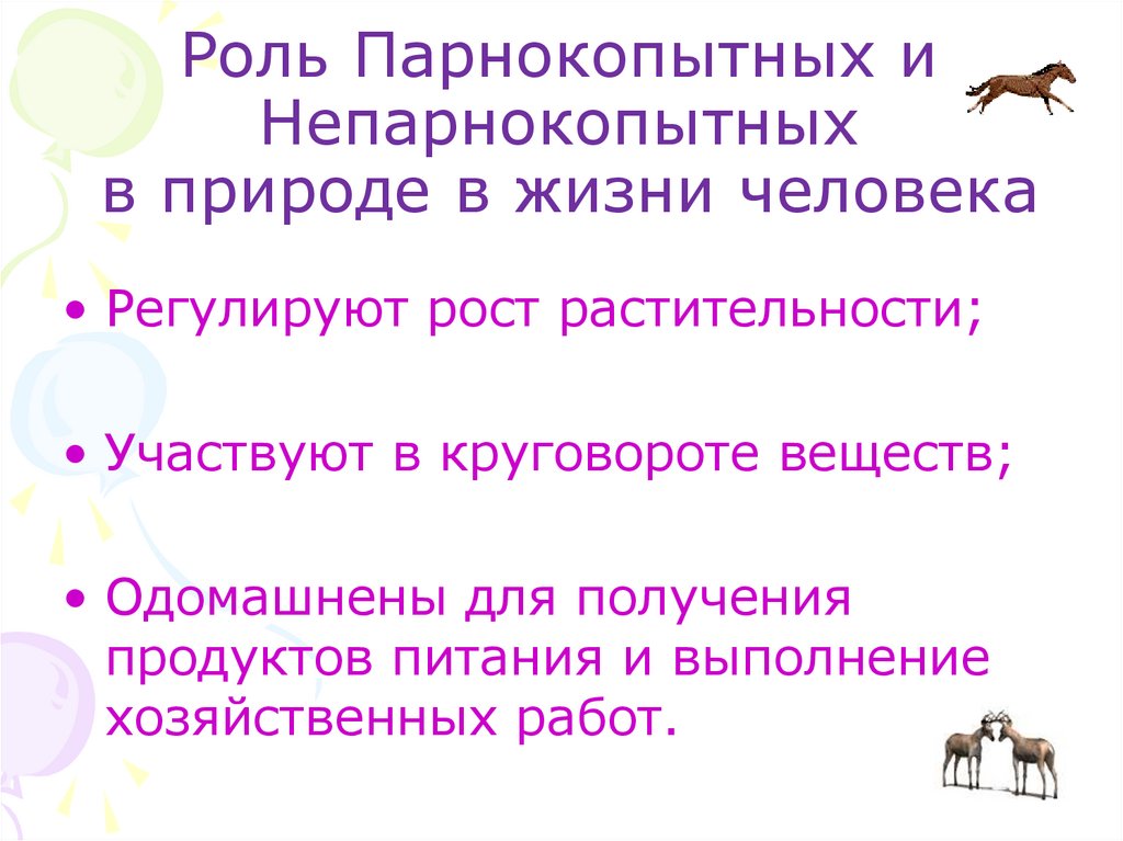 Отряды парнокопытные и непарнокопытные презентация 7 класс