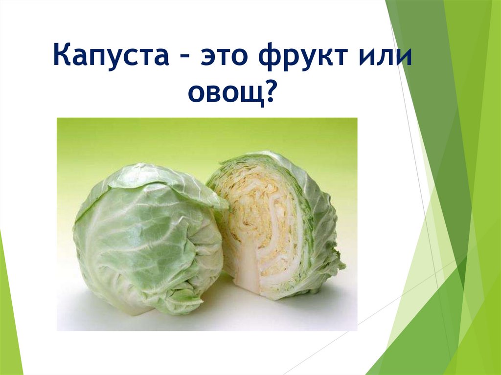 Капуста это. Капуста это овощ или растение. Капуста это цветок или овощ. Капустные овощи презентация. Капуста овощ или нет.