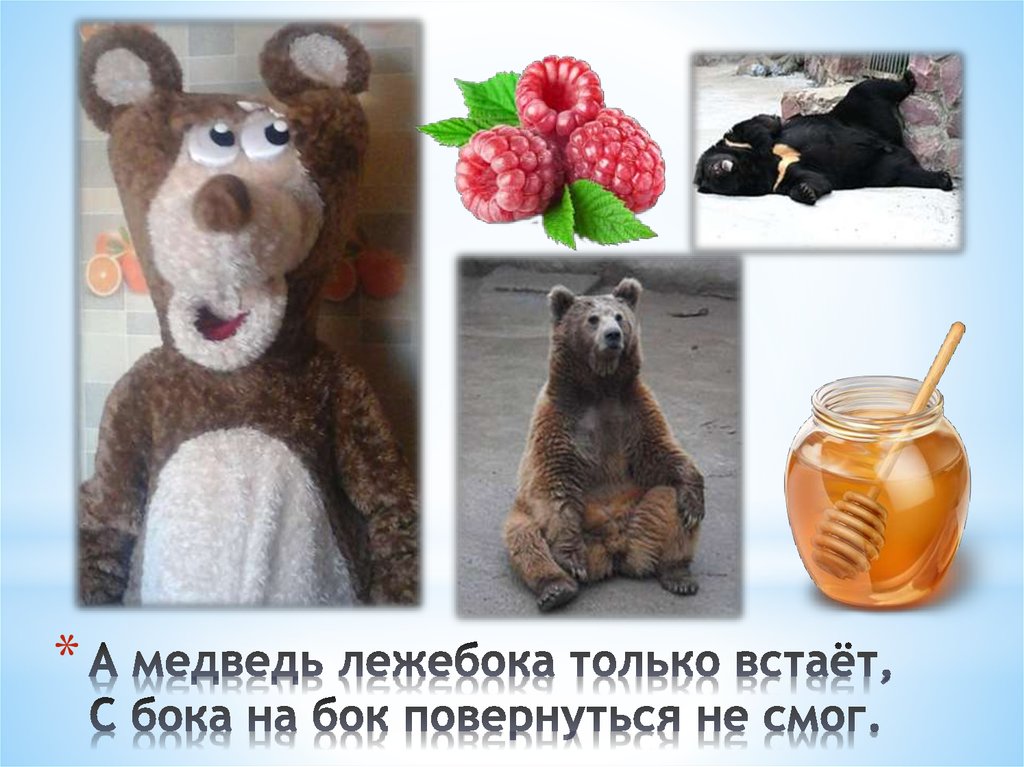 А медведь лежебока только встаёт, С бока на бок повернуться не смог.