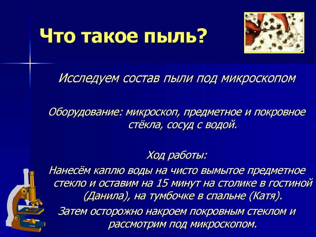 Что такое пыль. Пыль. Состав домашней пыли. Ыль. Состав бытовой пыли.