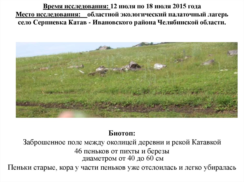 Время исследования: 12 июля по 18 июля 2015 года Место исследования: областной экологический палаточный лагерь село Серпиевка