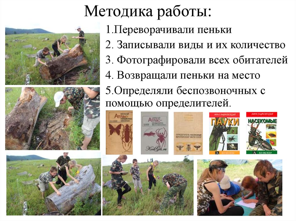 Методика работы: