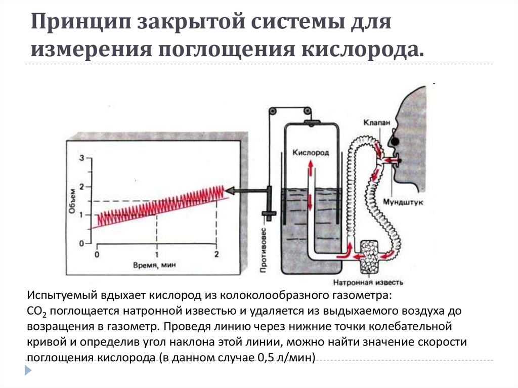 Поглощение кислорода