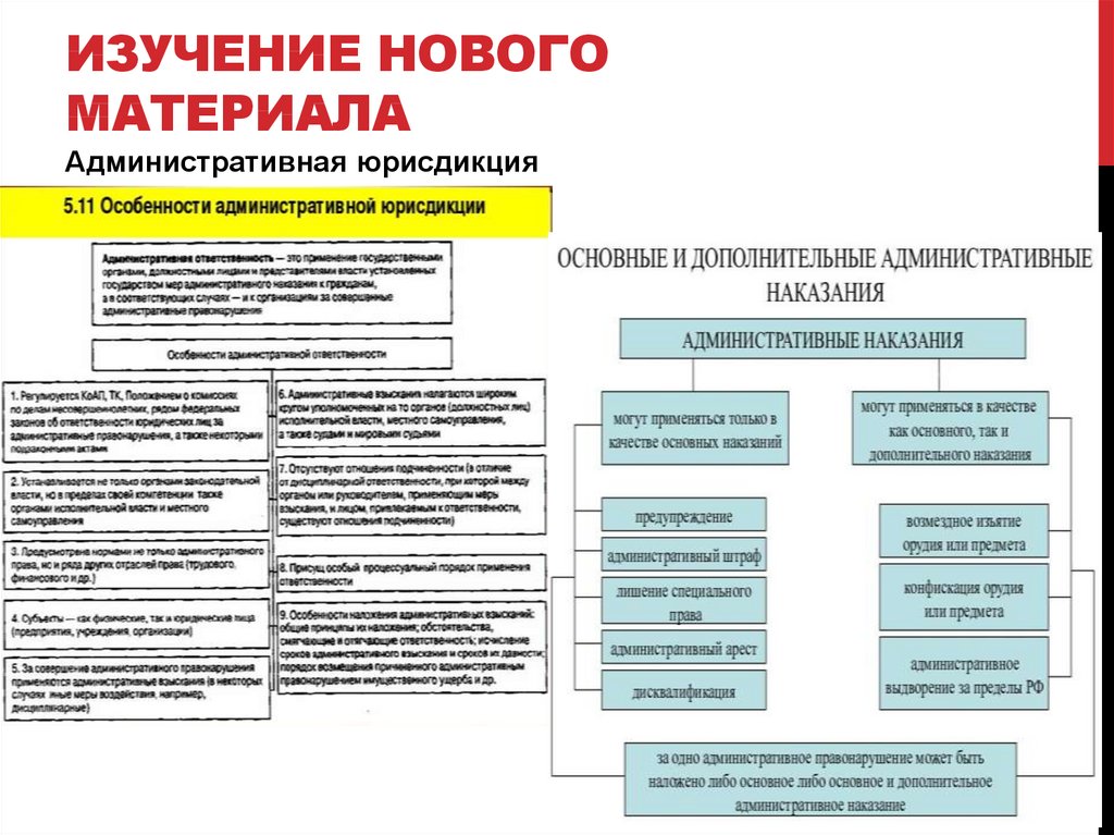 План конспект процессуальные отрасли права 10 класс