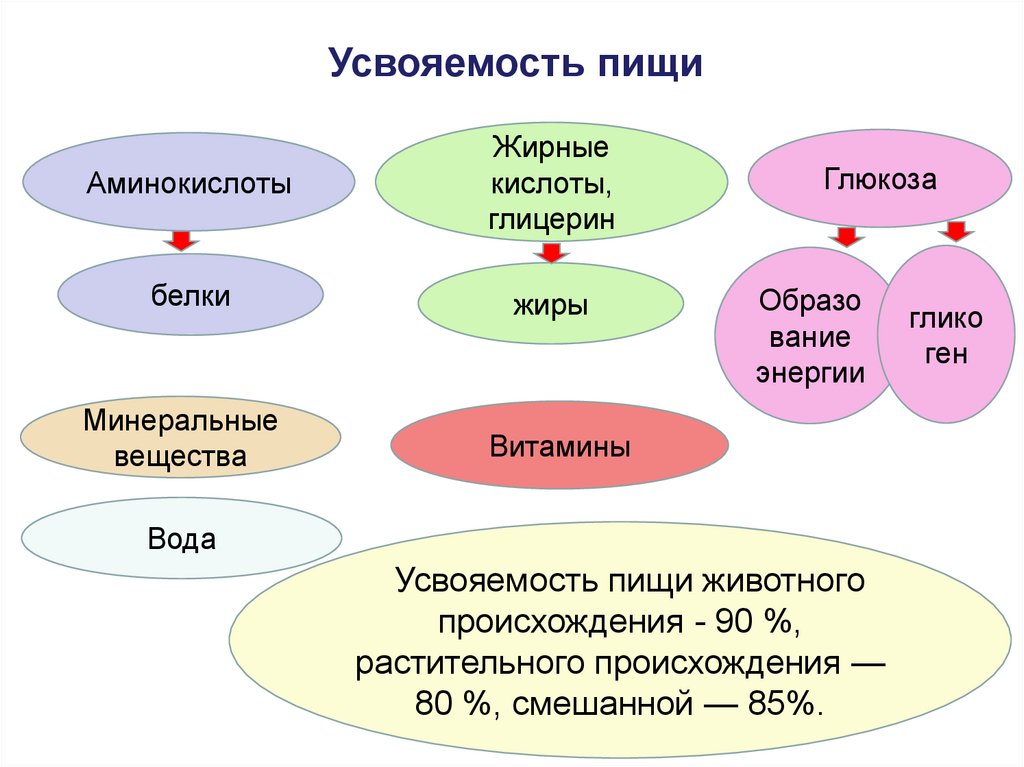 Презентация усвояемость пищи понятие факторы влияющие на усвояемость пищи