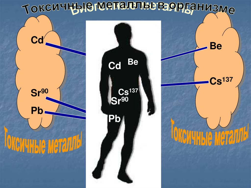 Тяжелые металлы и их влияние на организм человека презентация