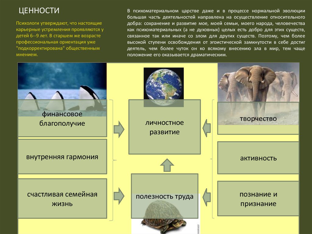 Образец карьерный план