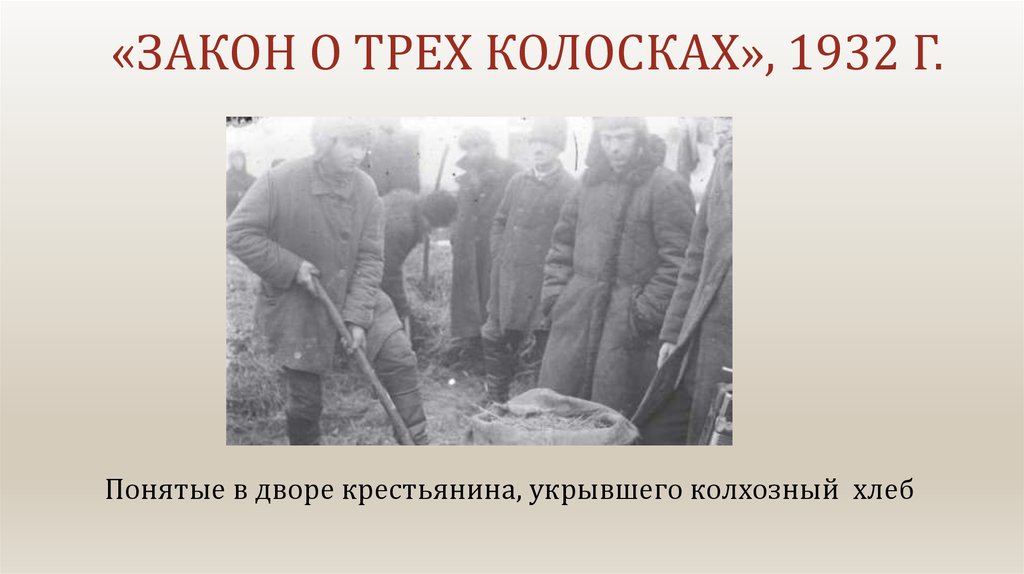 Законы на троих. Закон о трёх колосках 1932. Закон о трех колосках. Закон о пяти колосках. Указ о трех колосках.