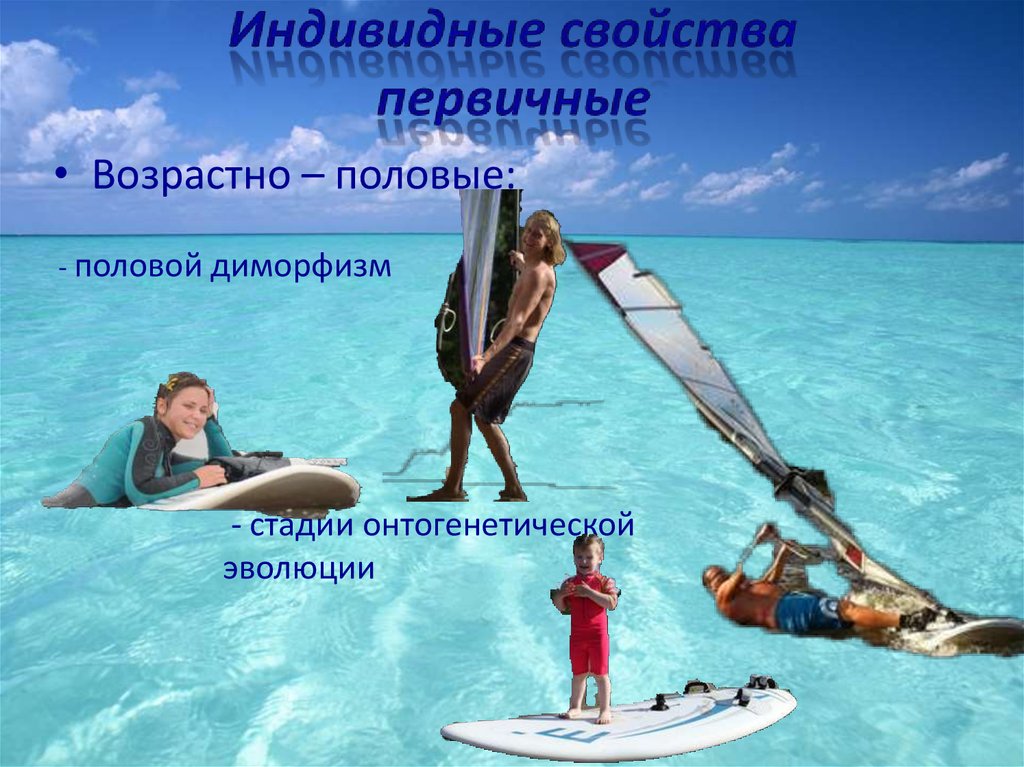 Индивидные свойства первичные