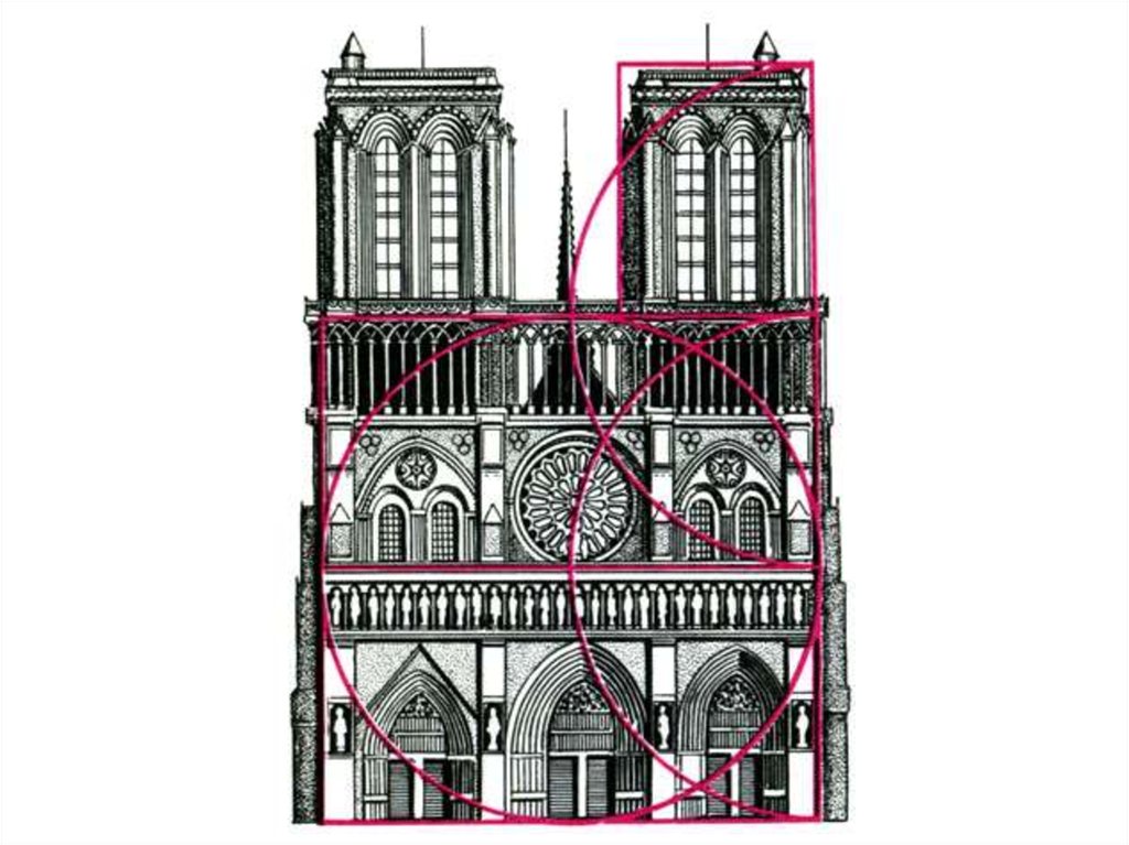 Собор Парижской Богоматери симметрия