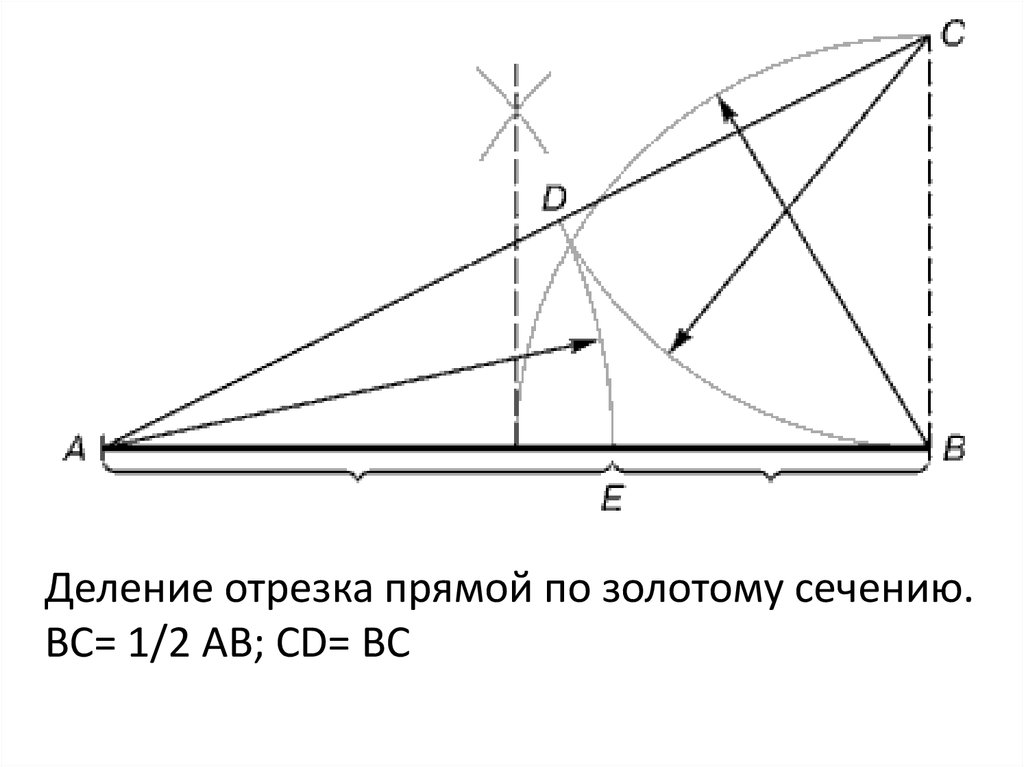 Золотое сечение изображение