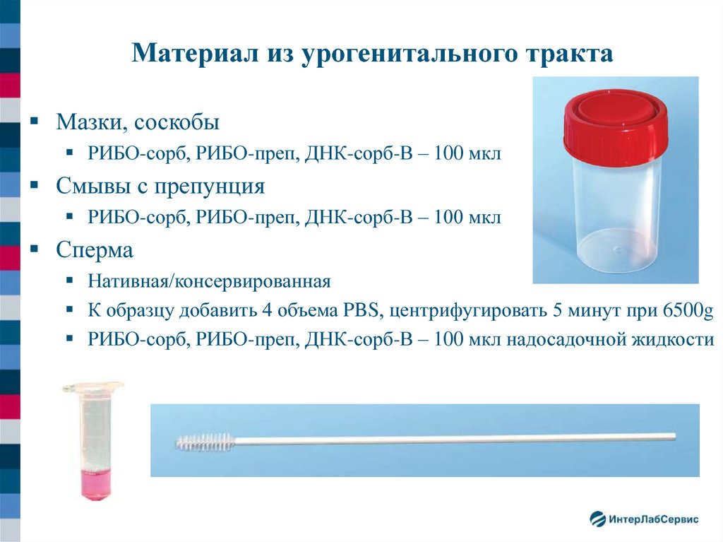 Исследование методом пцр урогенитальный тракт