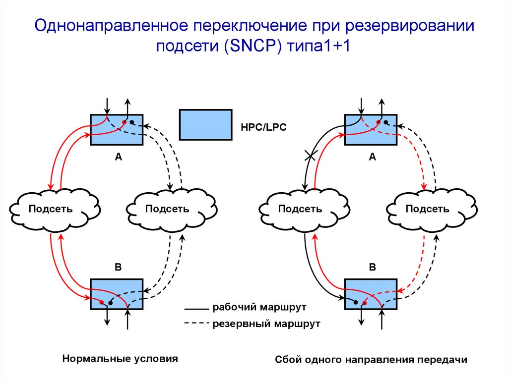 Сетевые структуры общества