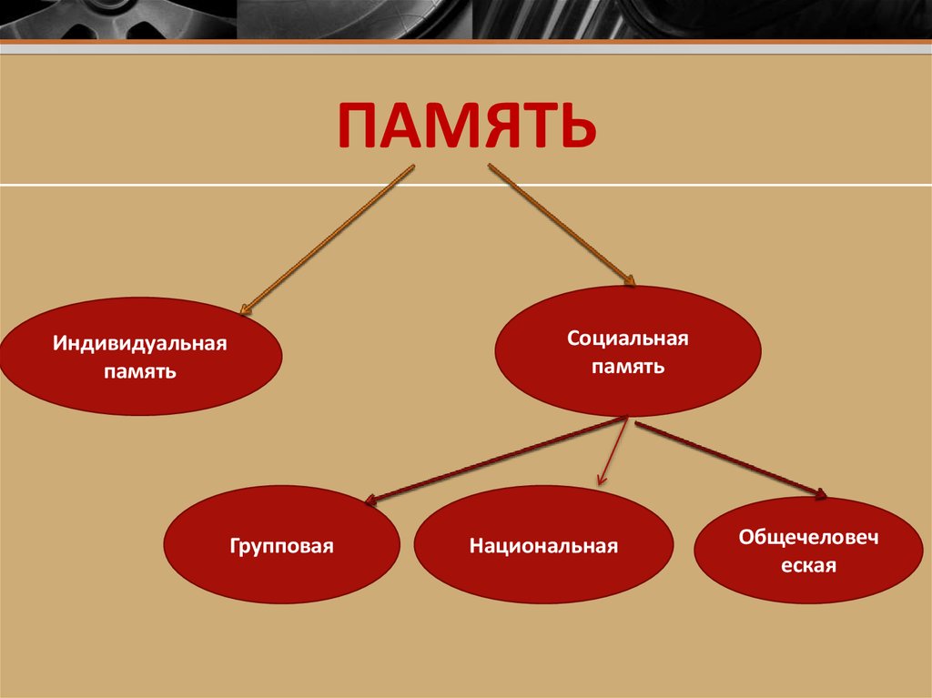 Социальная память