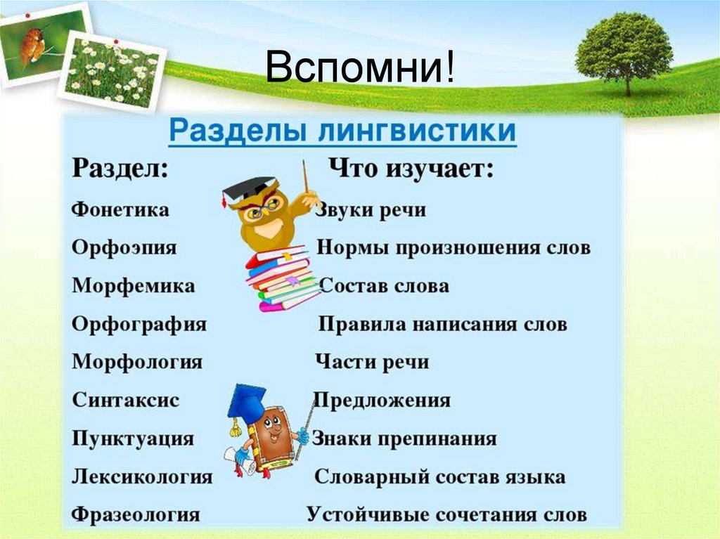 Сложный план наука о языке