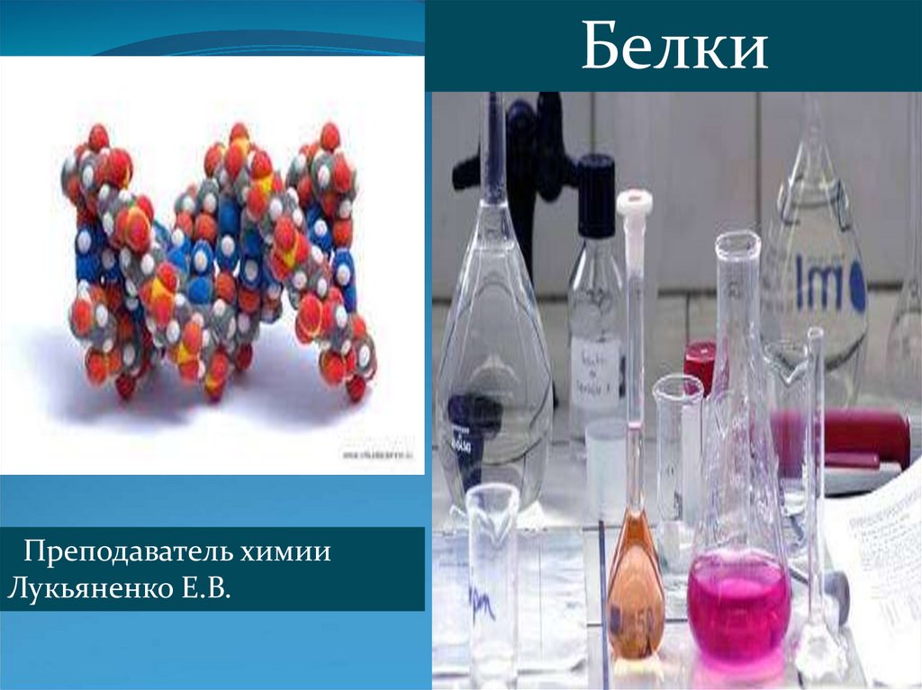 Презентация на тему белки по химии 9 класс