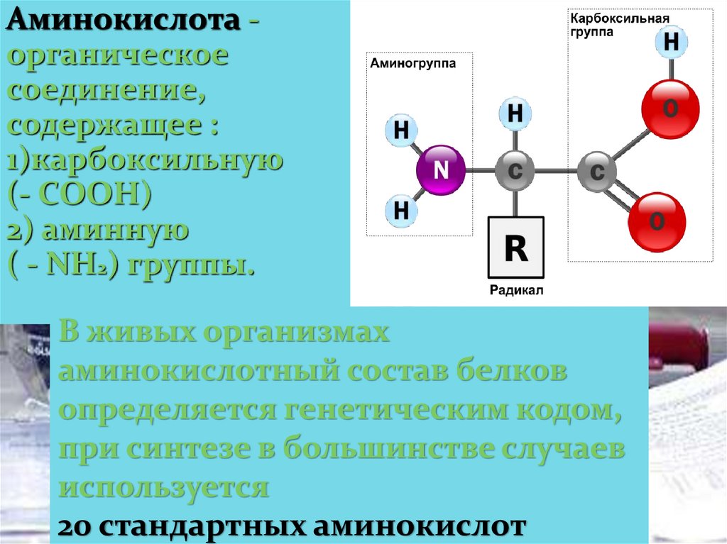 Презентация аминокислоты белки 9 класс габриелян