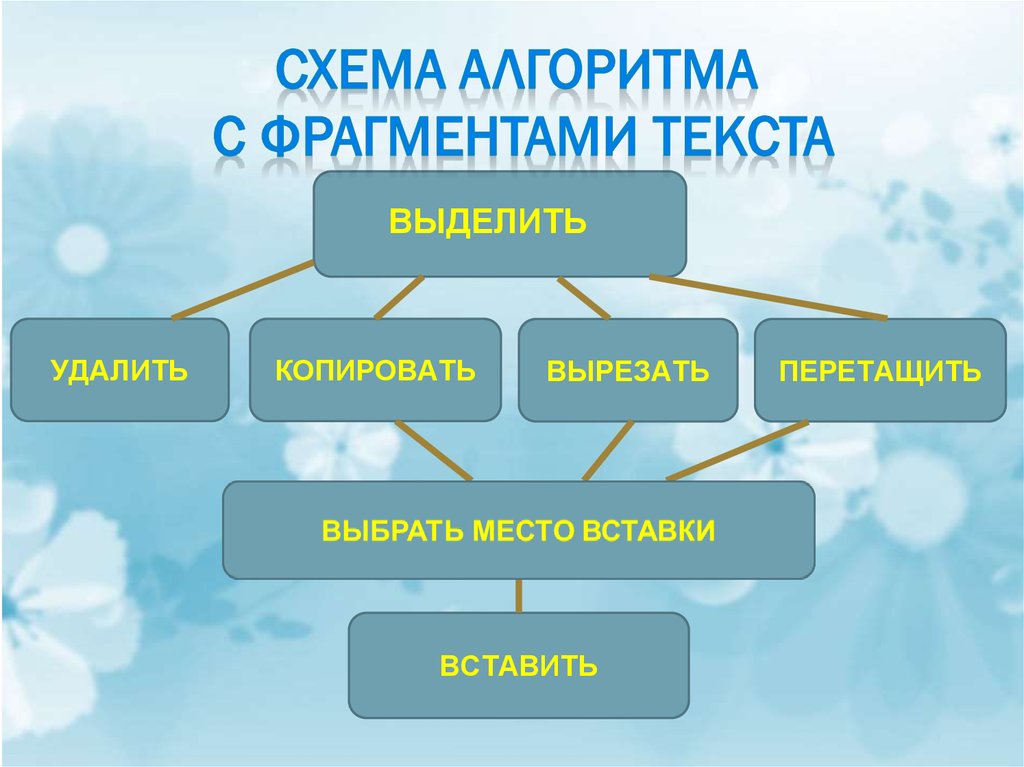 Текстовый фрагмент. Операции с фрагментами текста. Алгоритм копирования текста. Алгоритм копирования фрагмента текста. Алгоритм копирования текста в текстовом редакторе.