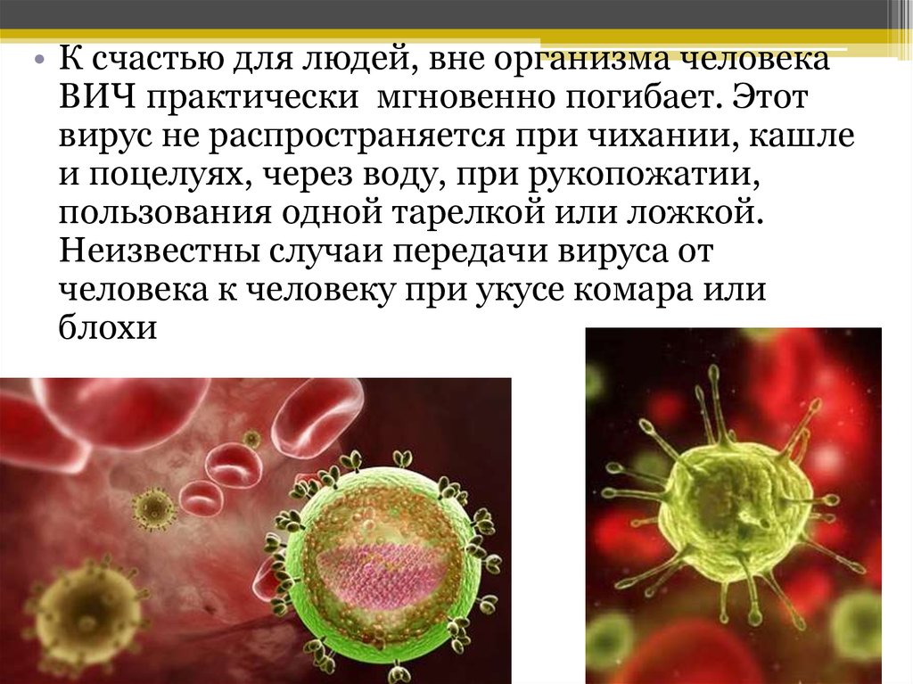Гепатит вне организма живет. Сколько живет ВИЧ вне организма. Сколько живёт вирус ВИЧ вне организма. Вирусы распространяются при. Вирусы передающиеся через поцелуй.
