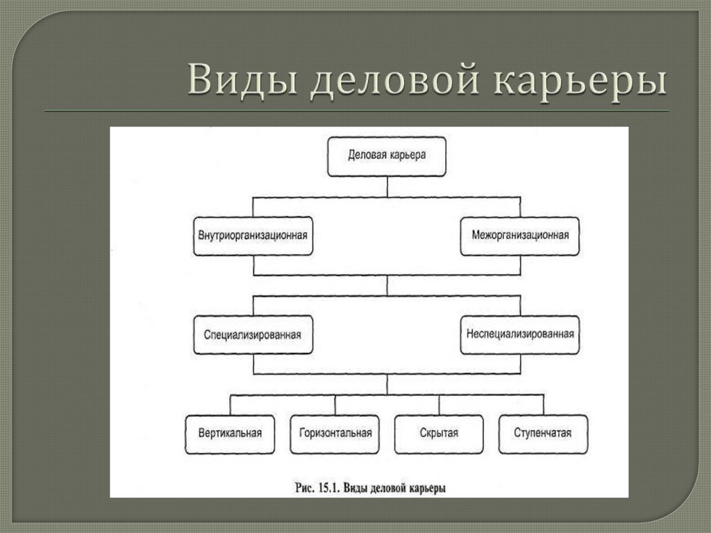 Виды деловой карьеры схема