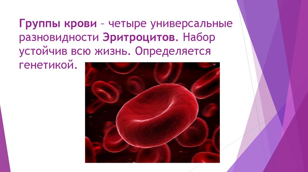 Группа крови клетки. Презентация на тему кровь. Группы крови эритроциты. Группы крови презентация. Эритроциты для презентации.