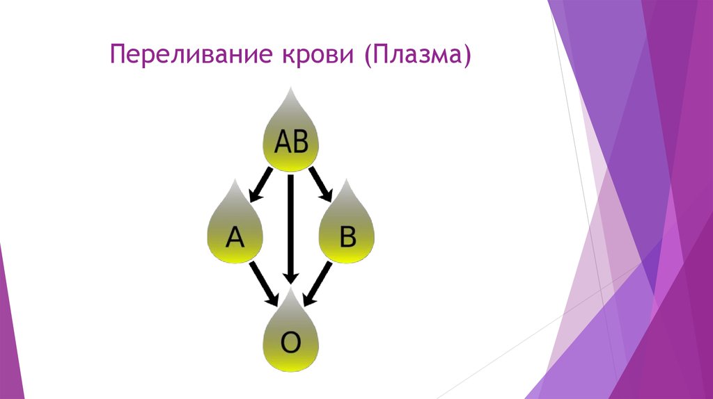 Схема переливания плазмы крови