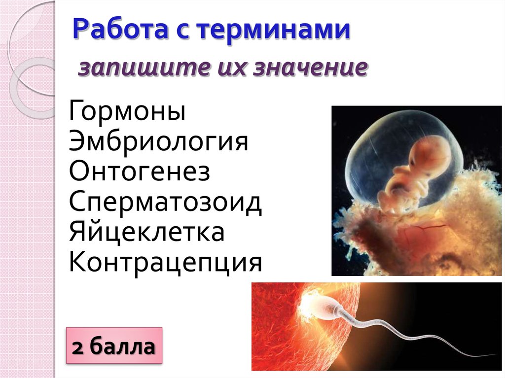 Работа с терминами запишите их значение